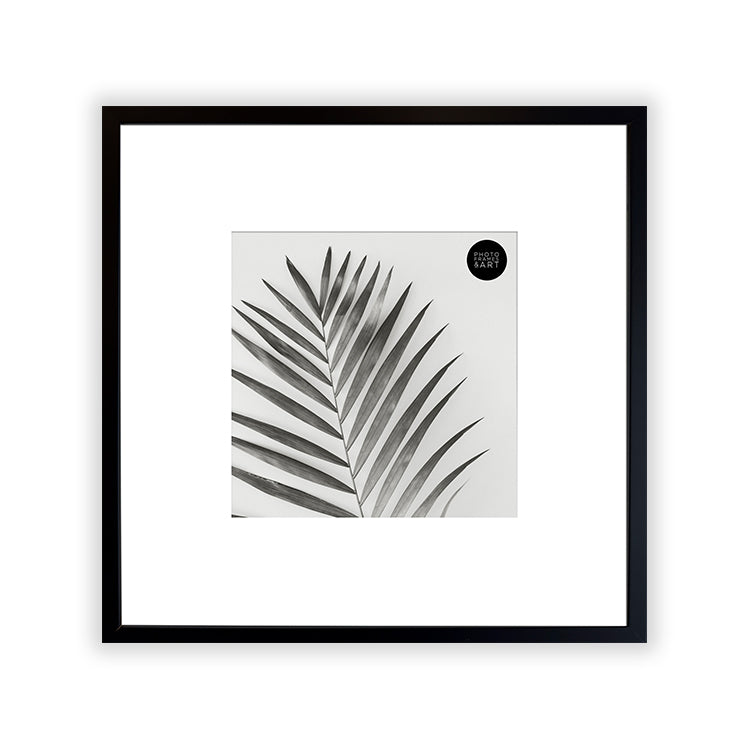 Oversized Mount Wooden 14x14 Black Frame for 8x8 with a Photo of a Plant and PF&A Logo