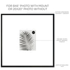 Dimensions of Oversized Mount Wooden 20x20 Black Frame for 8x6 with a Photo of a Plant and PF&A Logo