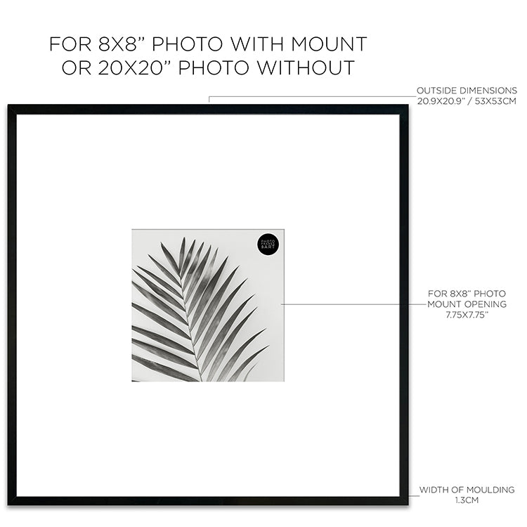 Dimensions of Oversized Mount Wooden 20x20 Black Frame for 8x8 With a Photo of a Plant and PF&A Logo