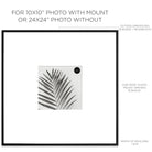 Dimensions of Oversized Mount Wooden 24x24 Black Frame for 10x10 with a photo of a plant and PF&A logo