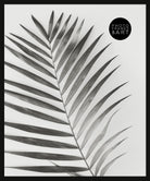 40 x 50 Oxford Black Photo Frame with PF&A logo and photo of plant