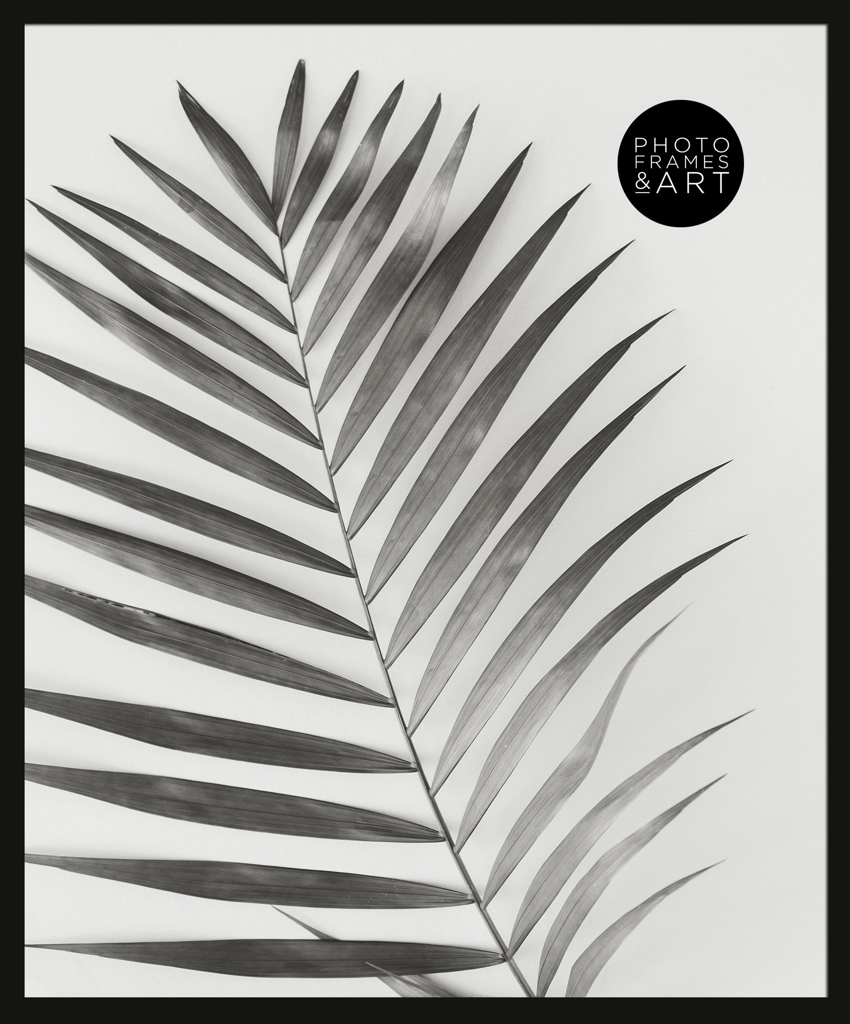 40 x 50 Oxford Black Photo Frame with PF&A logo and photo of plant