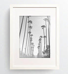 a3 frame white
