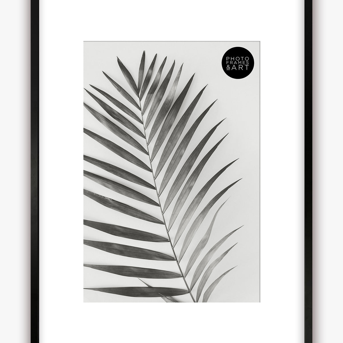 Frame A2 ash