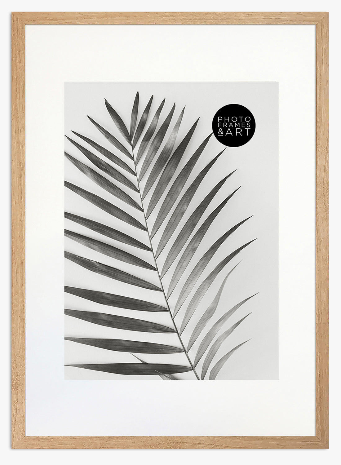 large picture frames