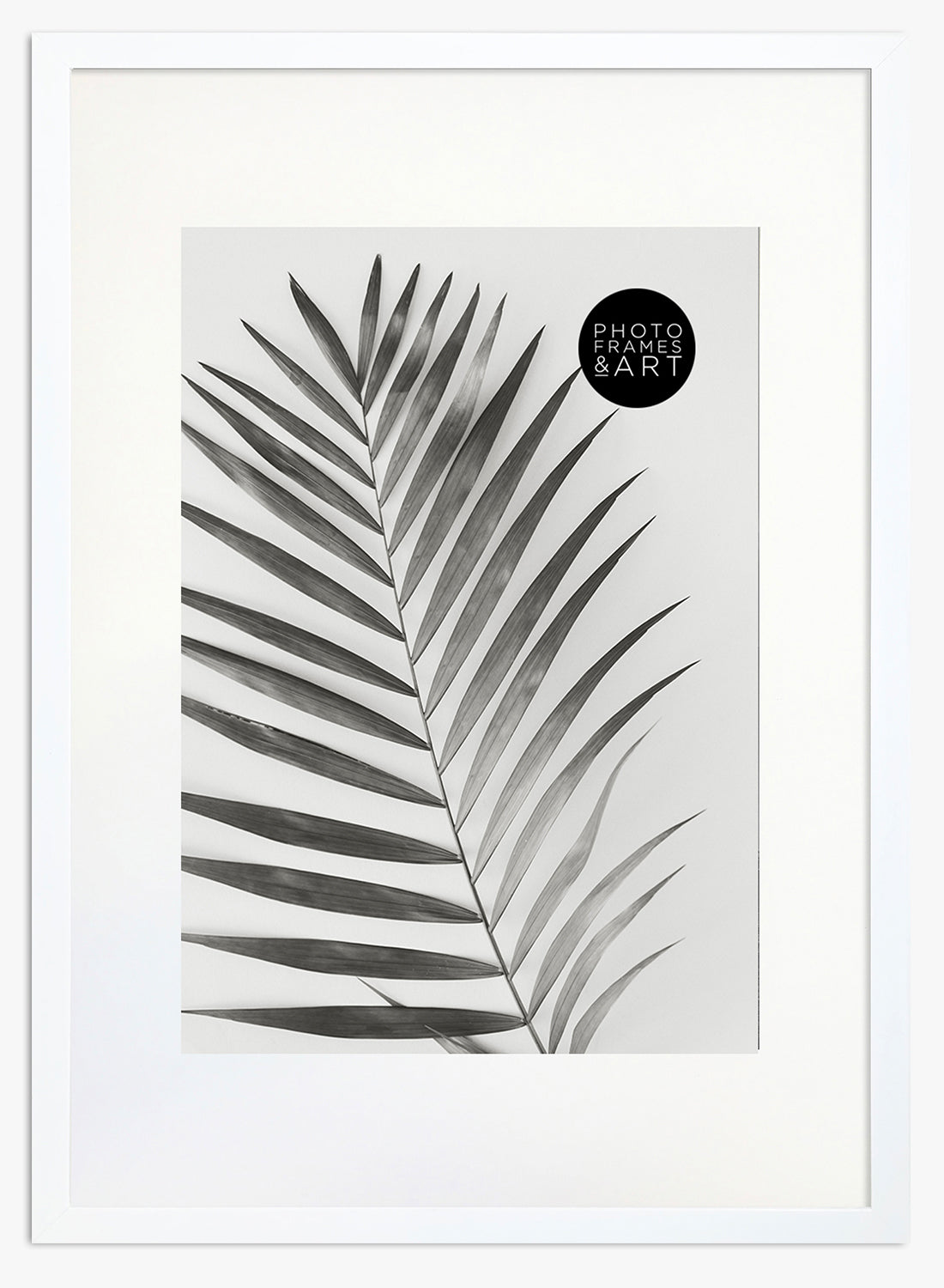 a2 white frame