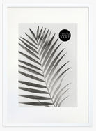 a2 white frame