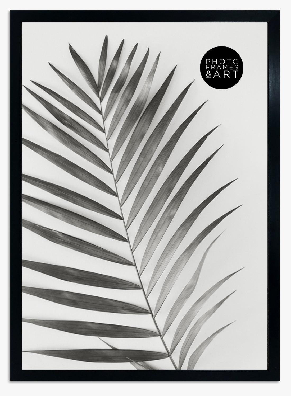 a2 black frame