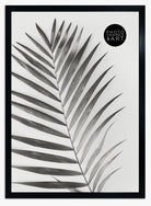a2 black frame