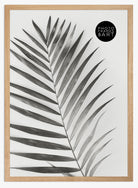 oak a2 frame