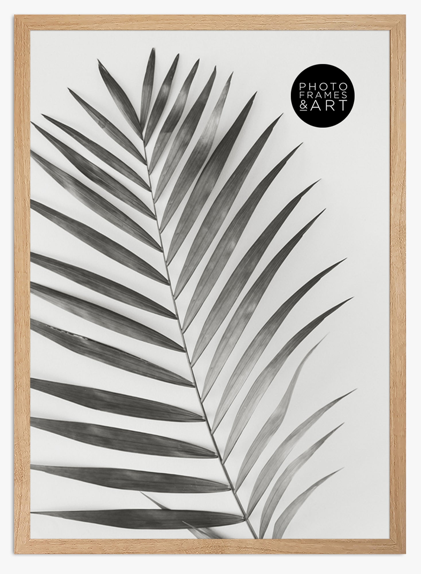 oak a2 frame