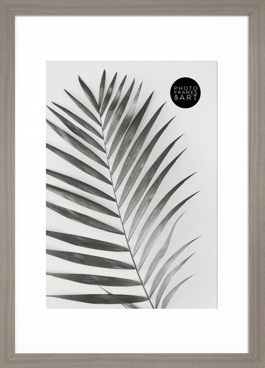 a3 frame with mount