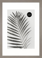 a3 frame with mount