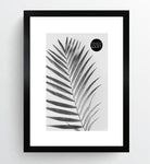 a3 black frame