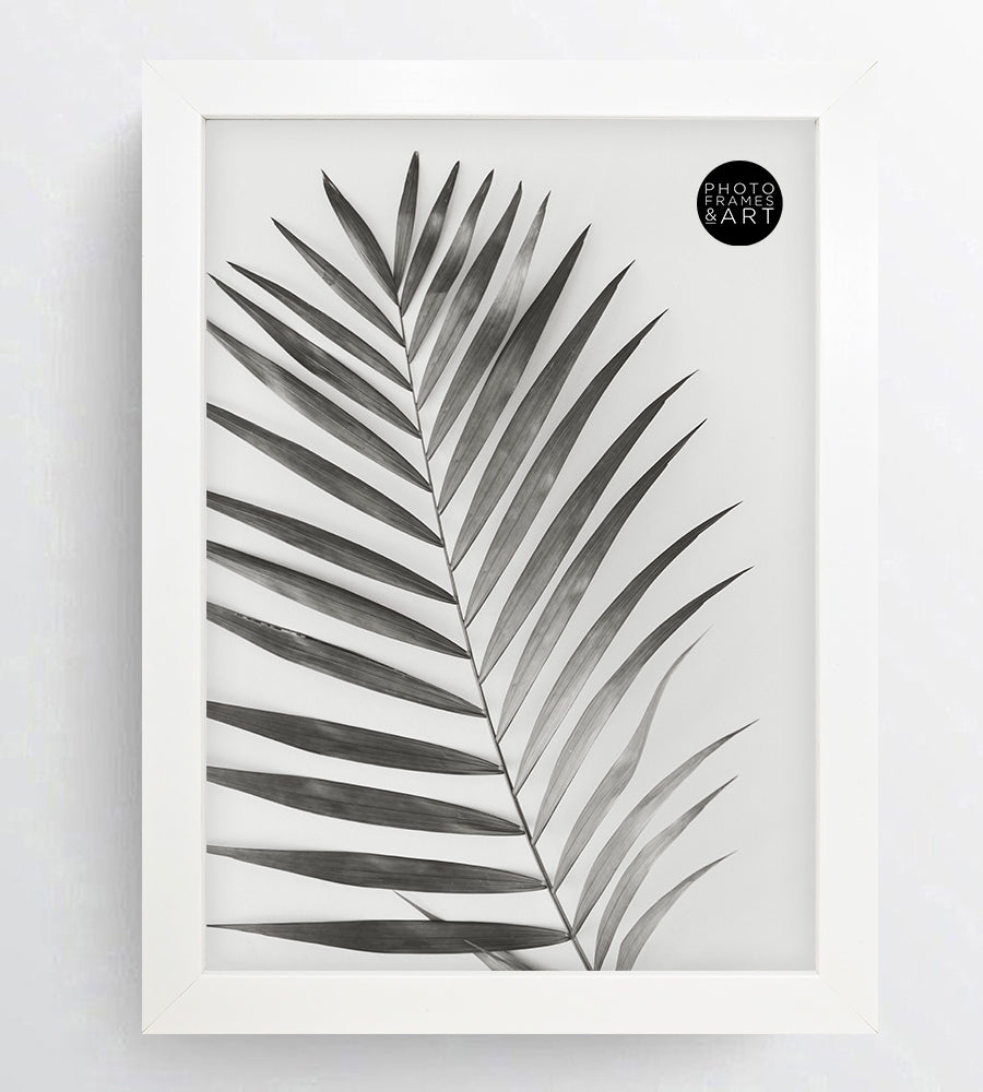 a4 white frame
