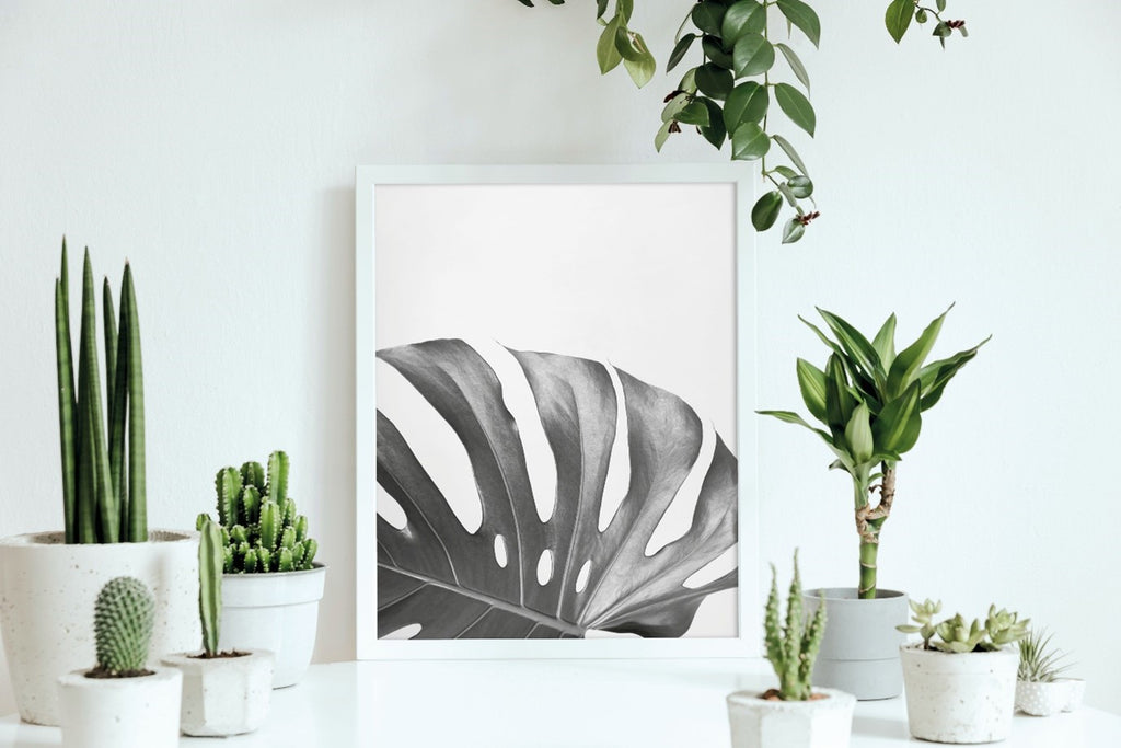Grey Leaf Art in Photo Frame with White Plant Pot Décor