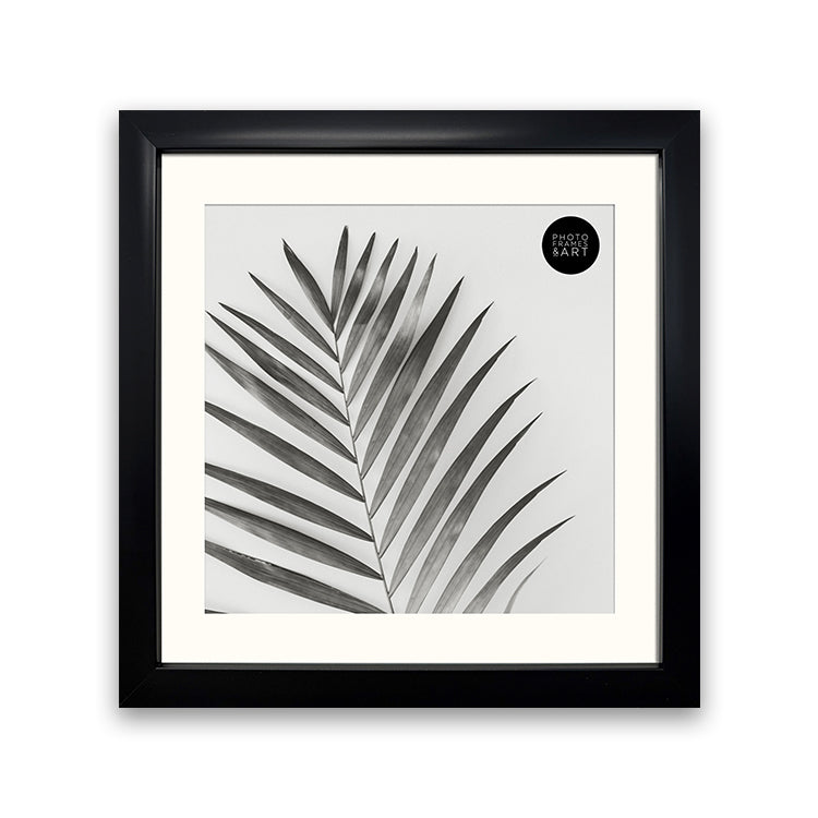 10x10 Frame For 8x8 With Glass | Silk Black