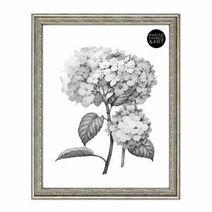10x8" Traditional Antique Style Picture Frame | Champagne Silver