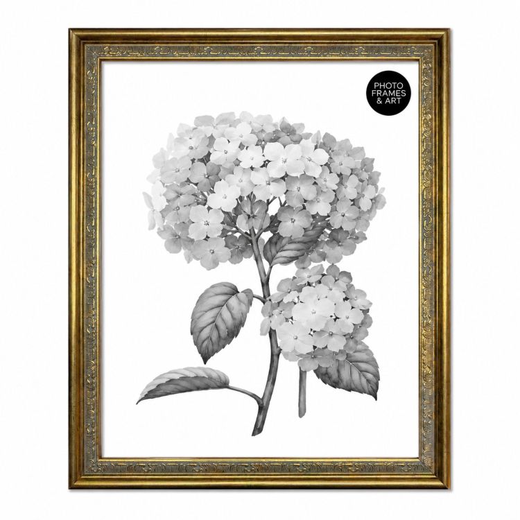 10x8" Traditional Antique Style Picture Frame | Gold