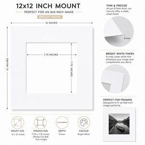 12x12" for 8x8" Image Mount | Bright White