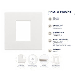 12x12" for 7x5" Image Mount | Soft White