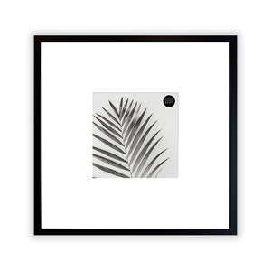 Oversized Mount Wooden 14x14 Black Frame for 6x6 with a Photo of a Plant and PF&A Logo 