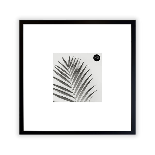 Oversized Mount Wooden 14x14 Black Frame for 6x6 with a Photo of a Plant and PF&A Logo 