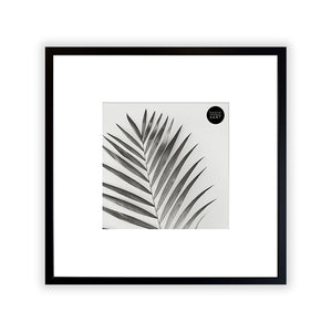 Oversized Mount Wooden 14x14 Black Frame for 8x8 with a Photo of a Plant and PF&A Logo 