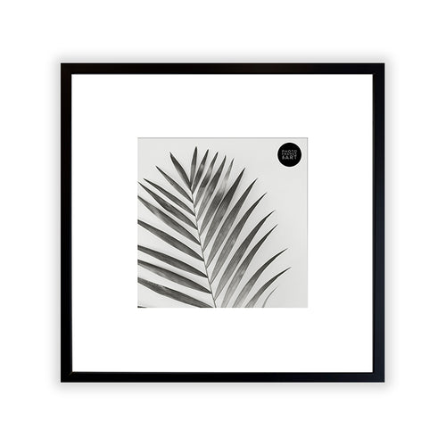 Oversized Mount Wooden 14x14 Black Frame for 8x8 with a Photo of a Plant and PF&A Logo 