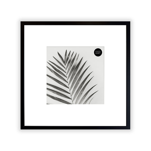Oversized Mount Wooden 14x14 Black Frame for 8x8 with a Photo of a Plant and PF&A Logo 