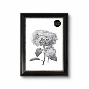 14x11" Shabby Chic Photo Frame | Vintage Black