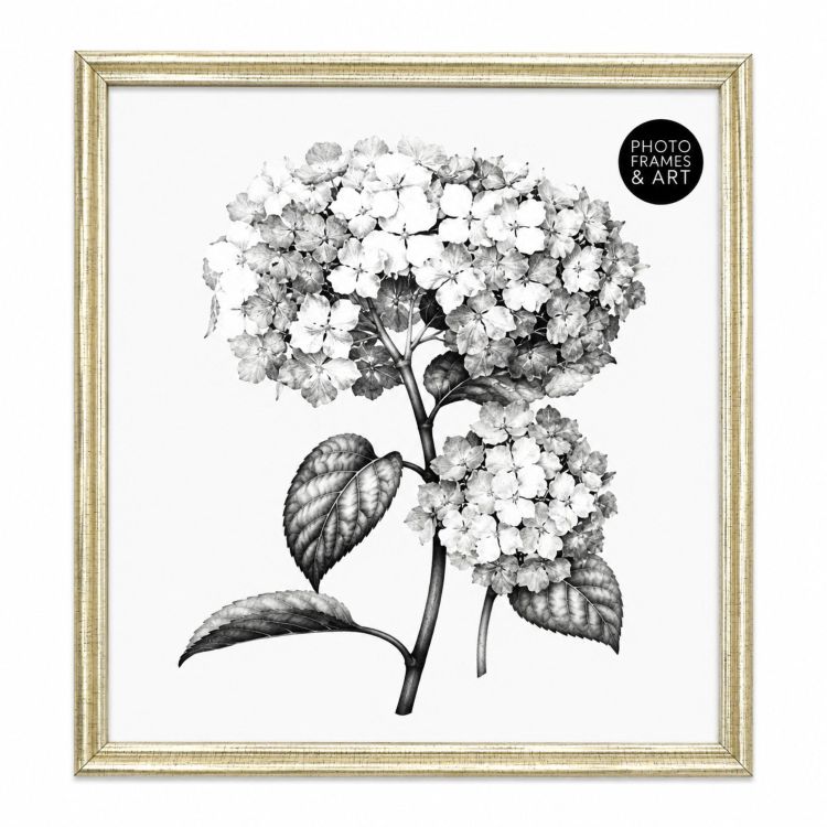 18x18" Photo Frame | Brushed Champagne Gold