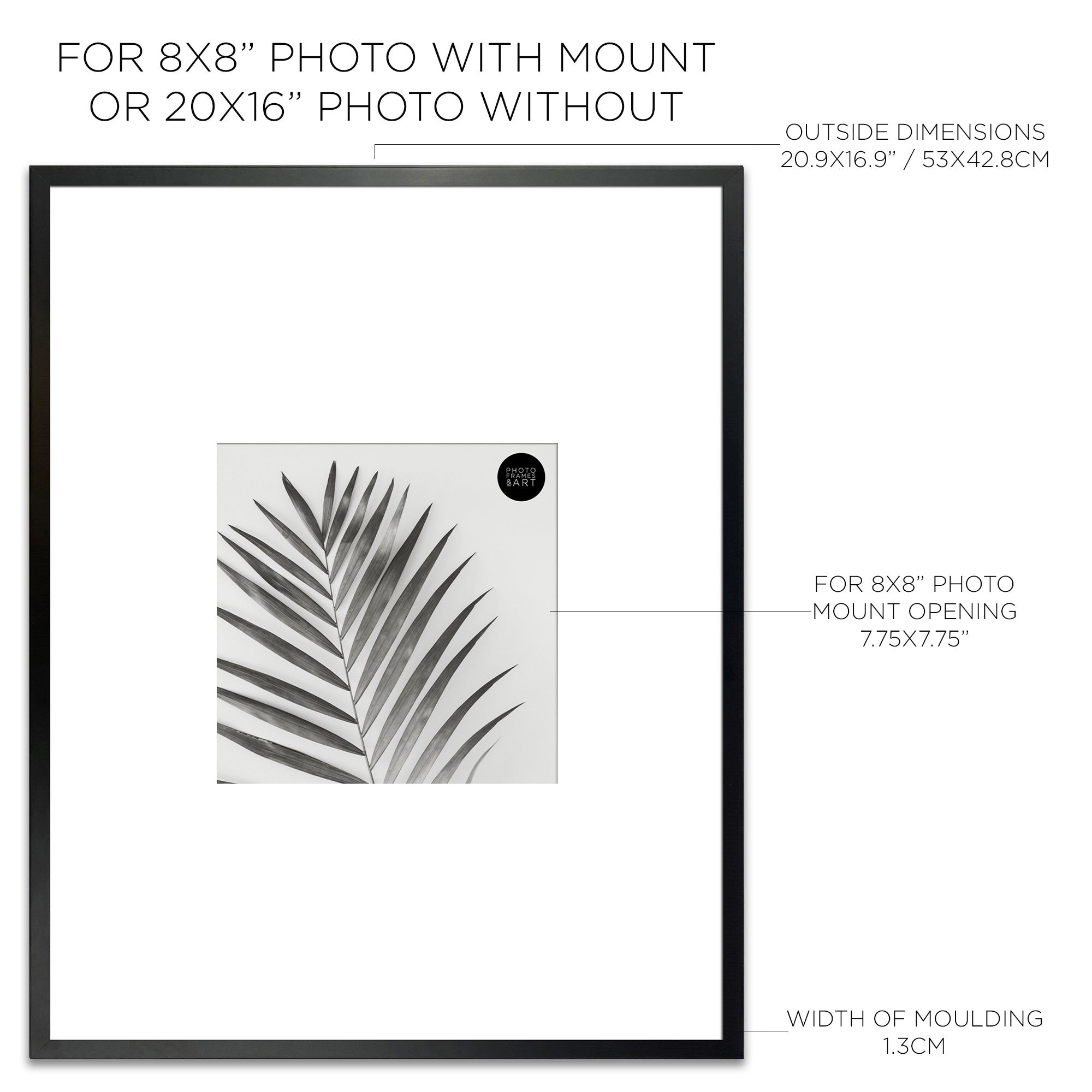 Dimensions of Oversized Mount Wooden 20x16 Black Frame for 8x8 with a Photo of a Plant and PF&A Logo