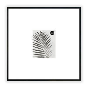 Oversized Mount Wooden 20x20 Black Frame for 8x6 with a Photo of a Plant and PF&A Logo 