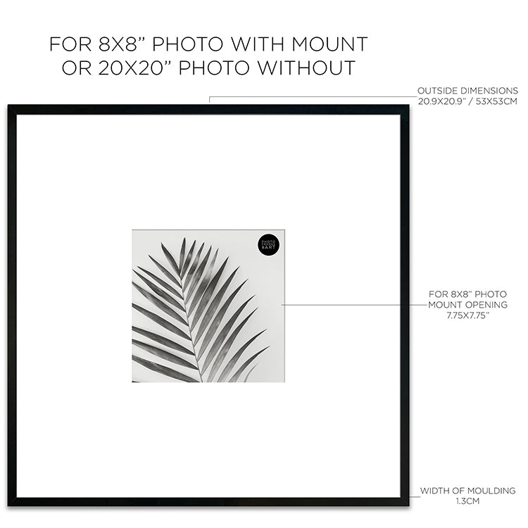 Dimensions of Oversized Mount Wooden 20x20 Black Frame for 8x8 With a Photo of a Plant and PF&A Logo 