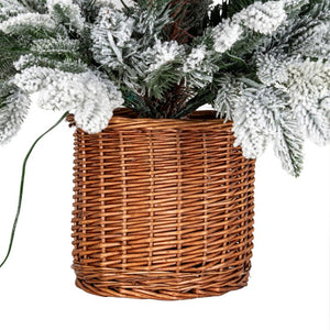 Norway Fir Pre-Lit Tree In Rattan Pot | 90cm