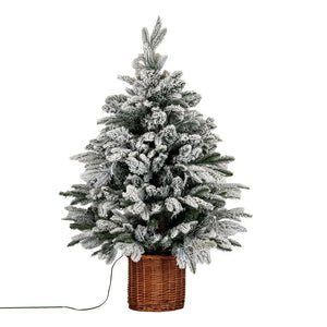 Norway Fir Pre-Lit Tree In Rattan Pot | 90cm