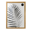 30x40 Frame With Glass | Oxford