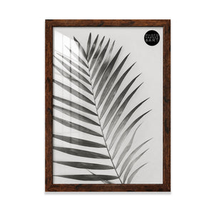 30x40 Frame With Glass | Oxford