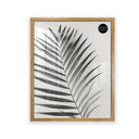 40x50 Frame With Glass | Oxford
