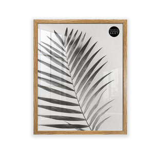 40x50 Frame With Glass | Oxford
