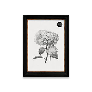 40x60cm Shabby Chic Poster Frame | Vintage Black