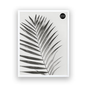 40x50 Frame With Glass | Oxford