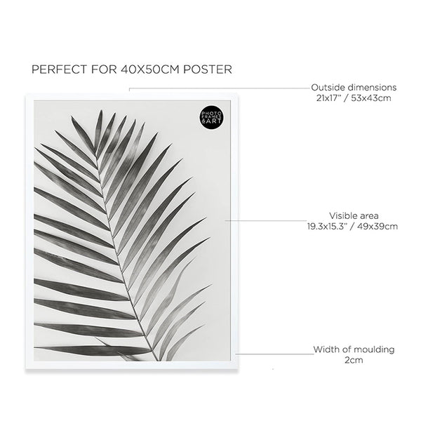 40x50 Frame With Glass | Oxford