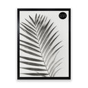 40x50 Frame With Glass | Oxford