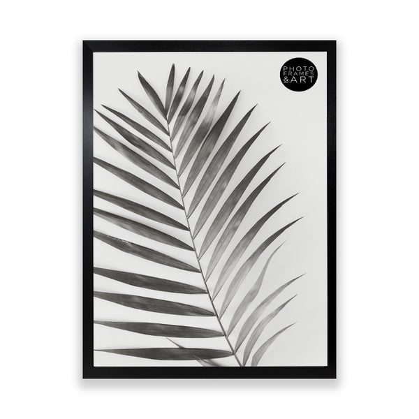 40x50 Frame With Glass | Oxford