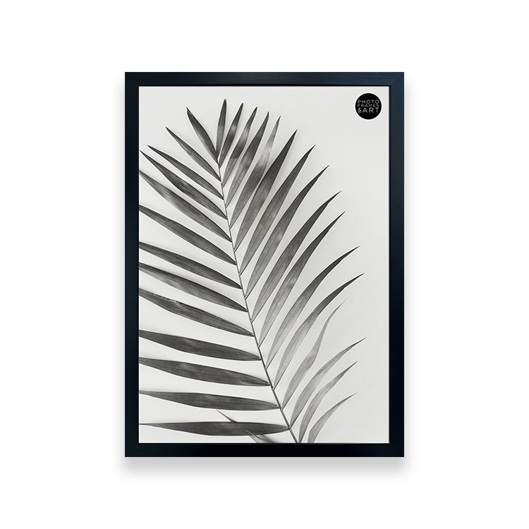 50x70cm Black Frame | Milano