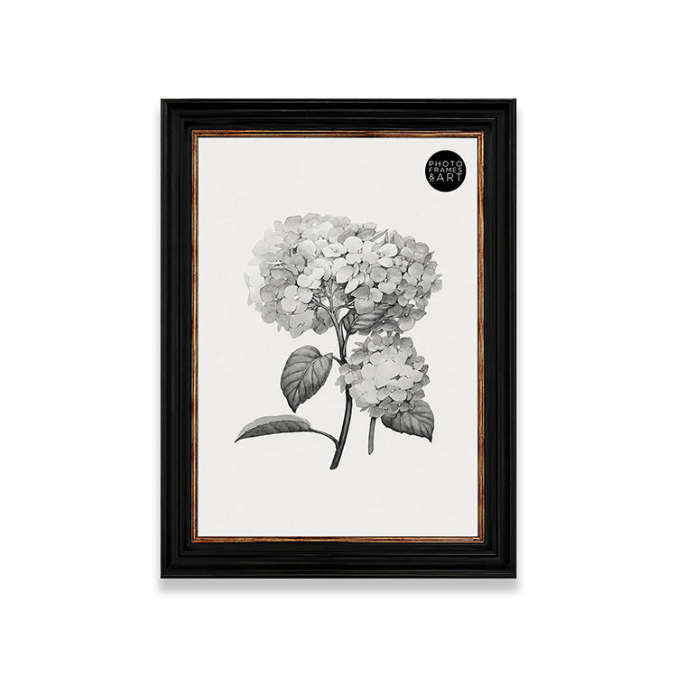 50x70cm Shabby Chic Poster Frame | Vintage Black