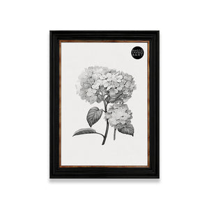 50x70cm Shabby Chic Poster Frame | Vintage Black