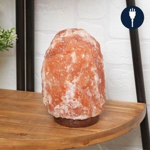 Himalayan Rock Salt Lamp | 2-3Kg